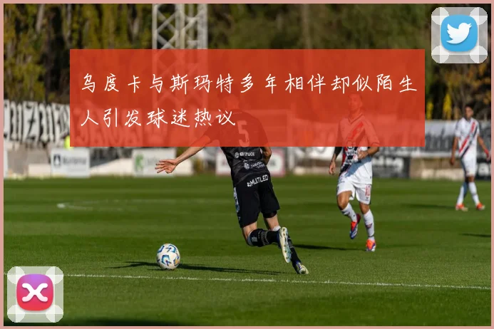 乌度卡与斯玛特多年相伴却似陌生人引发球迷热议